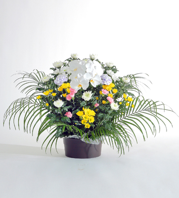 生花盛篭